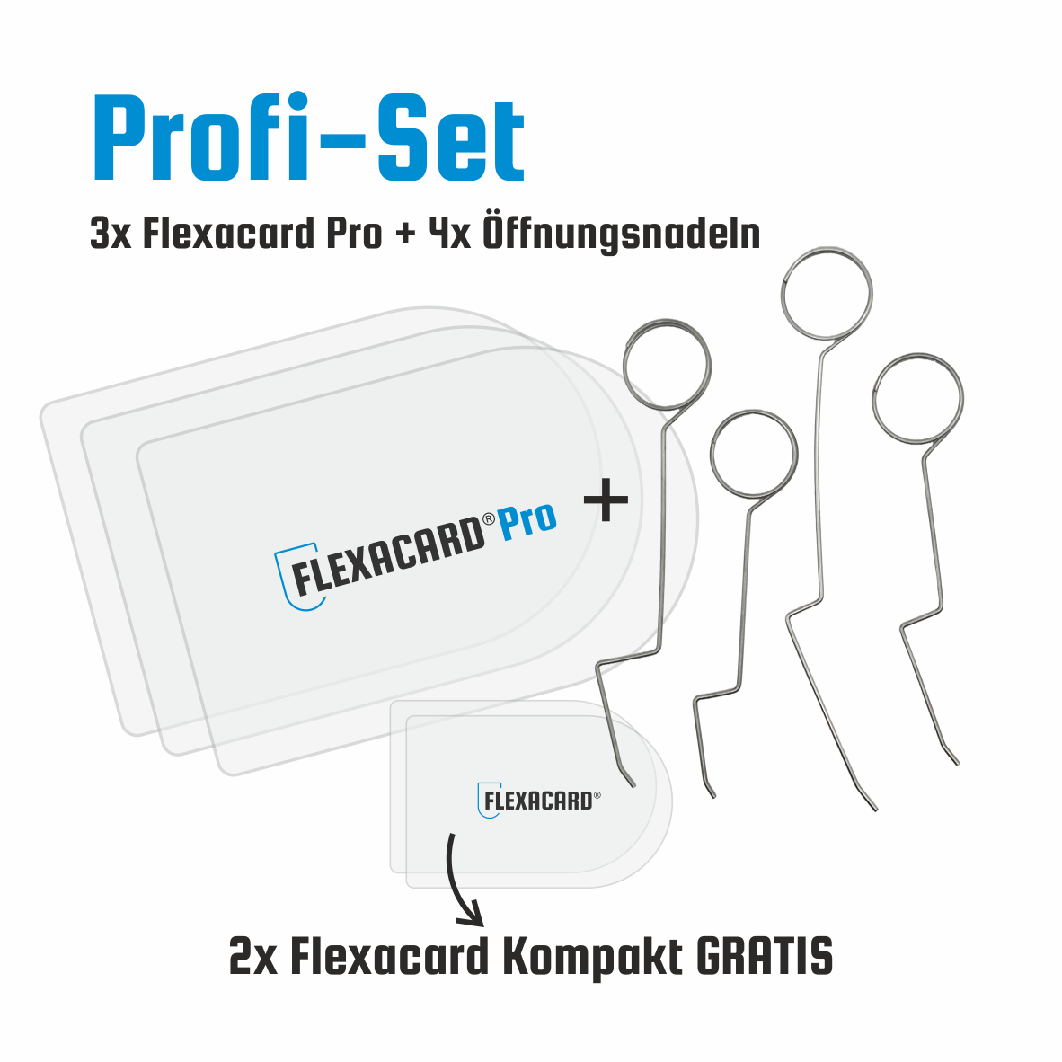 Flexacard Türöffner-Set mit Karten und Nadeln